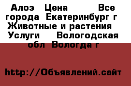 Алоэ › Цена ­ 150 - Все города, Екатеринбург г. Животные и растения » Услуги   . Вологодская обл.,Вологда г.